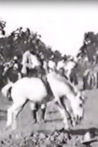 Постер фильма «Cavalier sur un cheval rétif»