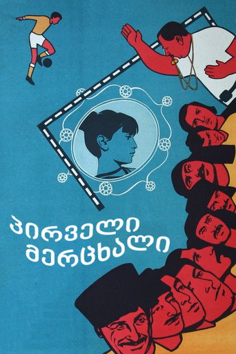 Poster for “First Swallow”