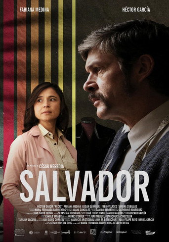 Постер фильма «Salvador»