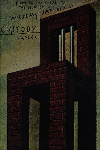 Poster for “Custody”