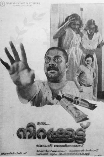 Poster for “Nirakkoottu”