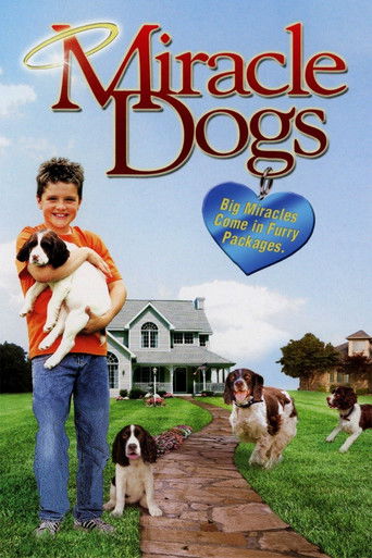 Poster for “Miracle Dogs”