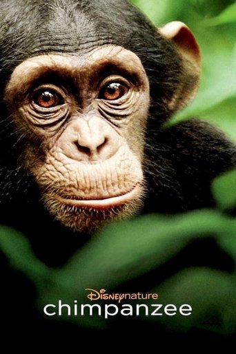 Poster for “Chimpanzee”