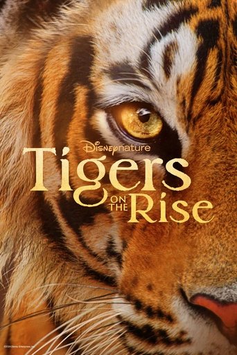 Poster for “Tigers on the Rise”