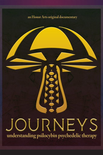 Poster for “Journeys”