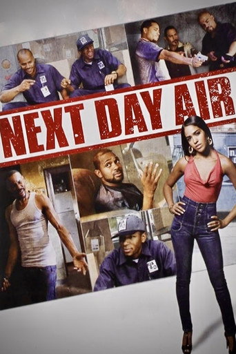 Poster for “Next Day Air”