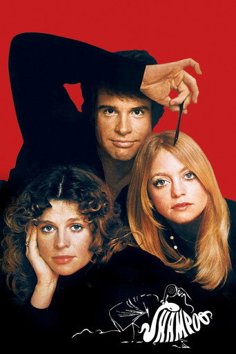 Poster for “Shampoo”