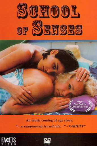 Poster for “School of Senses”