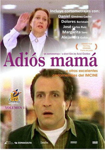Poster for “Goodbye Mom”