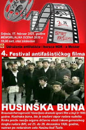 Постер фильма «Husinska buna»