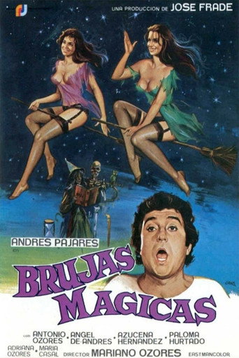 Постер фильма «Brujas mágicas»