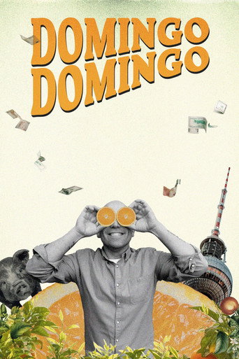 Постер фильма «Домино Домино»