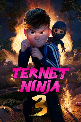 Постер фильма «Ternet Ninja 3»