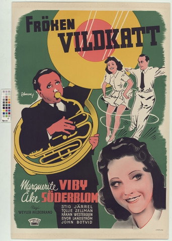 Poster for “Fröken Vildkatt”