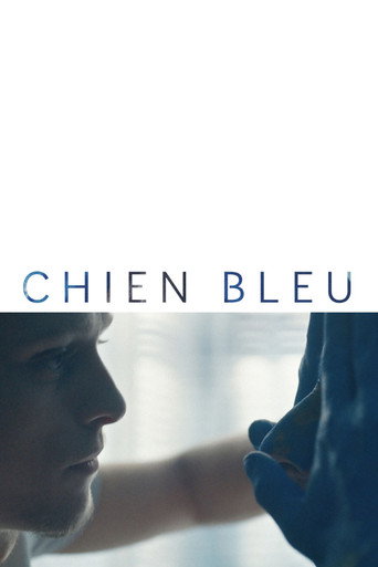 Постер фильма «Chien bleu»