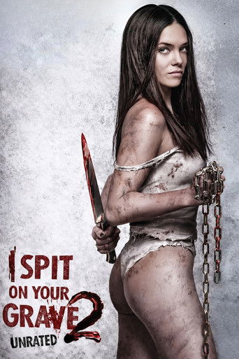 Poster for “I Spit on Your Grave 2”