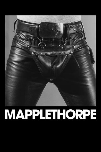 Poster for “Mapplethorpe”