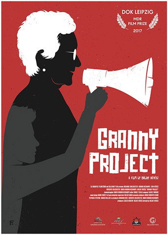 Poster for “Granny Project”