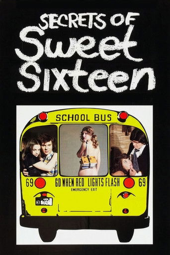 Poster for “Secrets of Sweet Sixteen”