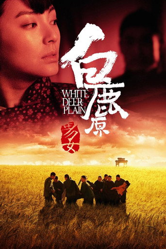 Постер фильма «白鹿原»