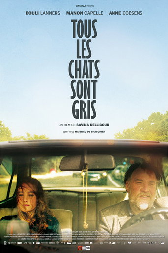 Постер фильма «Tous les chats sont gris»