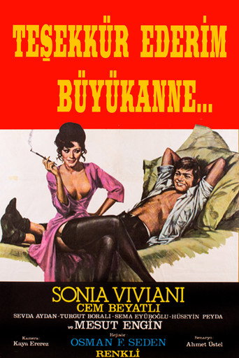 Постер фильма «Teşekkür Ederim Büyükanne»