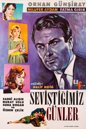 Poster for “Seviştiğimiz Günler”