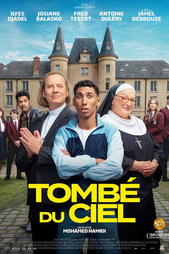 Poster for “Tombé du ciel”