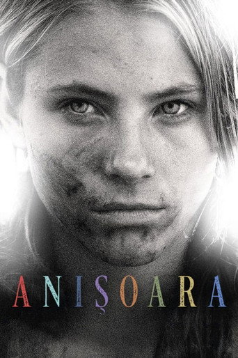 Постер фильма «Анишоара»
