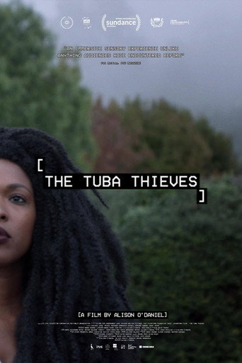 Poster for “The Tuba Thieves”