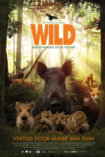 Poster for “Wild”