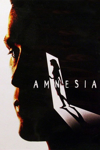 Poster for “Amnesia”