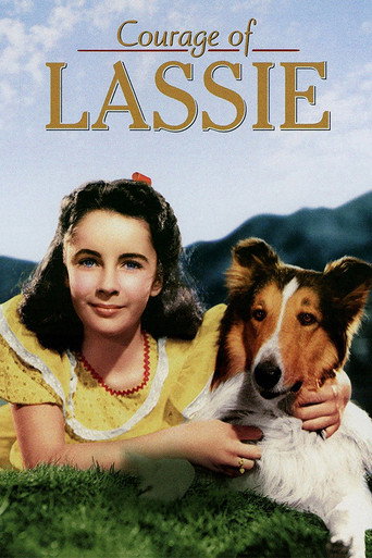 Poster for “Courage of Lassie”