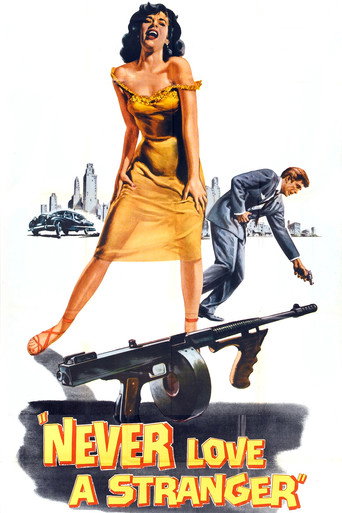 Poster for “Never Love a Stranger”