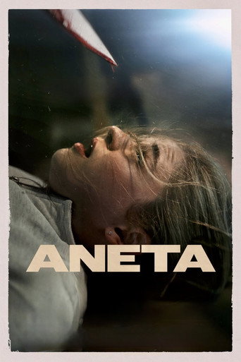 Постер фильма «Aneta»