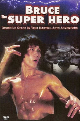 Poster for “Bruce the Super Hero”