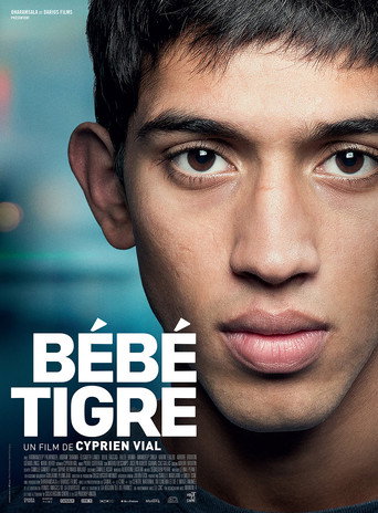 Poster for “Young Tiger”