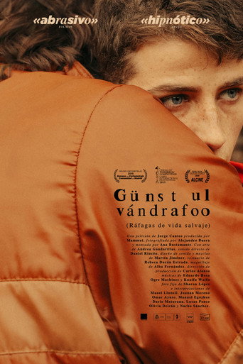 Poster for “Gusts of Wild Life”