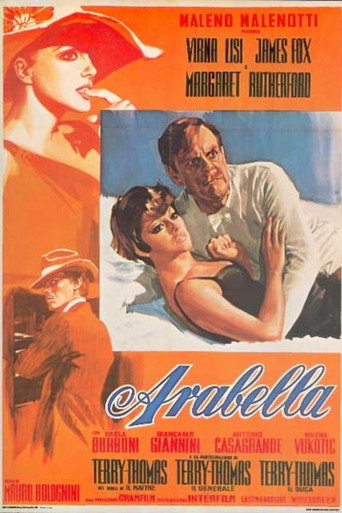 Постер фильма «Arabella»