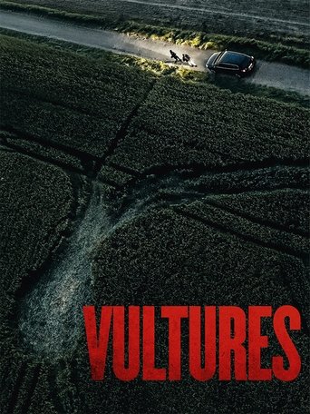 Poster for “Vultures”