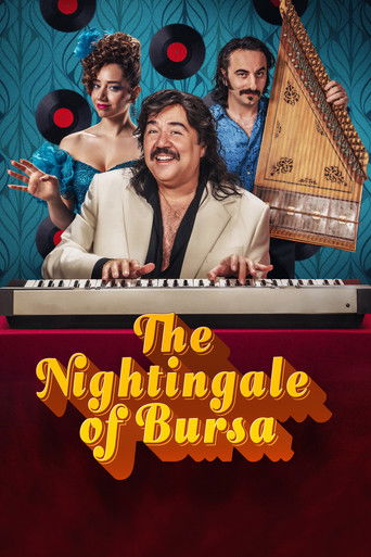 Постер фильма «Bursa Bülbülü»