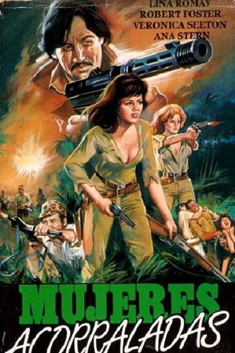 Постер фильма «Гнев в тропиках»