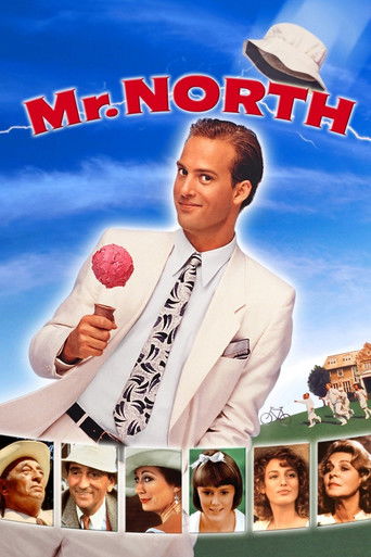 Poster for “Mr. North”