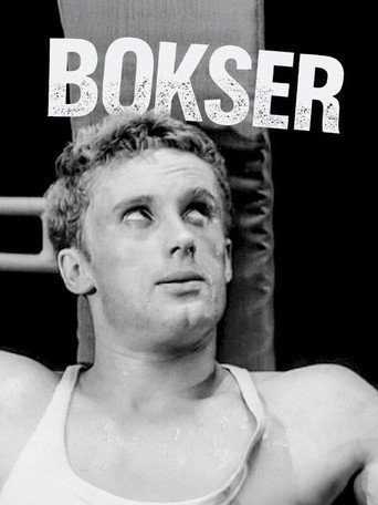 Постер фильма «Bokser»