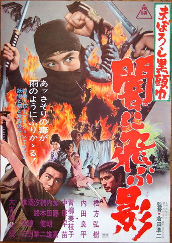 Постер фильма «まぼろし黒頭巾 闇に飛ぶ影»