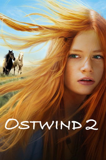 Poster for “Windstorm 2”