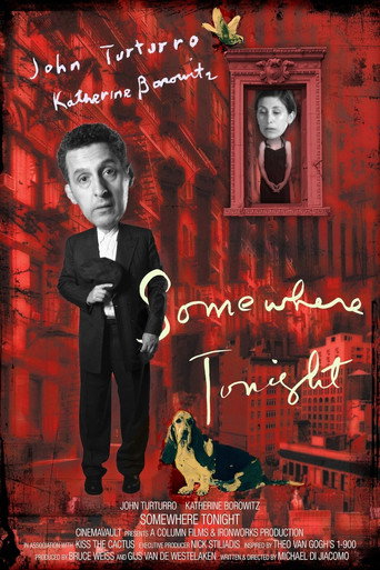 Poster for “Somewhere Tonight”