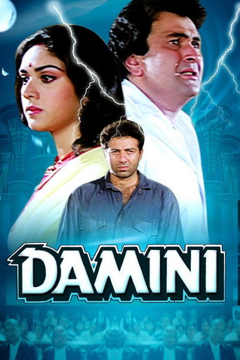 Poster for “Damini”
