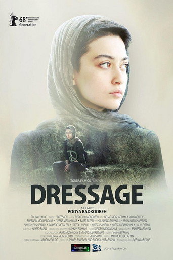 Poster for “Dressage”