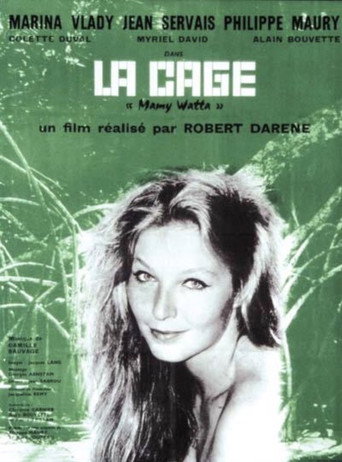 Постер фильма «La Cage»